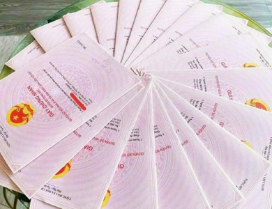 Thủ tục cấp Giấy chứng nhận quyền sử dụng đất, quyền sở hữu nhà ở và tài sản khác gắn liền với đất