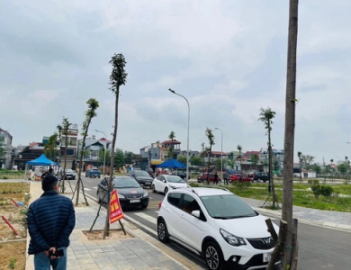 Tiết lộ những phân khúc bất động sản sẽ sôi động trở lại trong thời gian tới