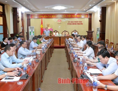 Đề xuất quy mô đầu tư tuyến ĐT 753 kết nối tỉnh Đồng Nai qua cầu Mã Đà
