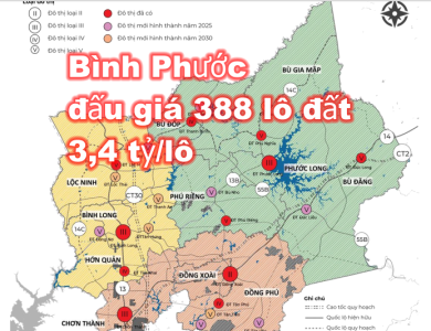Đầu năm 2024, Bình Phước đấu giá 388 lô đất ở Hớn Quản, Phú Riềng, Bù Gia Mập và Bù Đốp