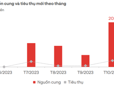 Giao dịch đất nền tại phía Nam tăng gần 5 lần, thị trường đã khởi sắc