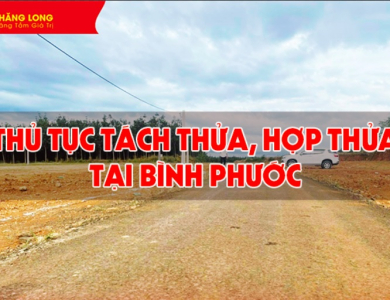 Thủ tục tách thửa và hợp thửa đất tại Bình Phước tại cơ quan hành chính