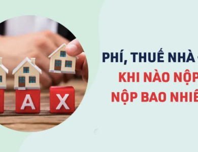 4 loại thuế, lệ phí nhà đất: Khi nào nộp? Nộp bao nhiêu?
