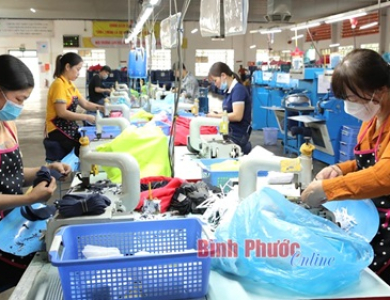 Bình Phước tạo đà cho kinh tế tư nhân phát triển