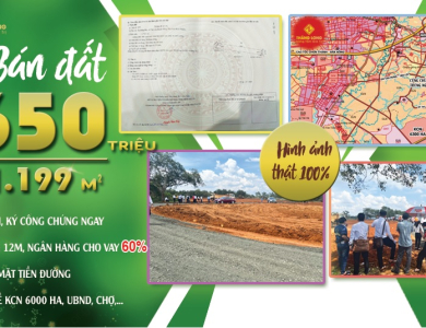 TÂN LỢI XII