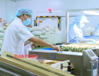 Bình Phước ưu tiên phát triển công nghiệp công nghệ cao