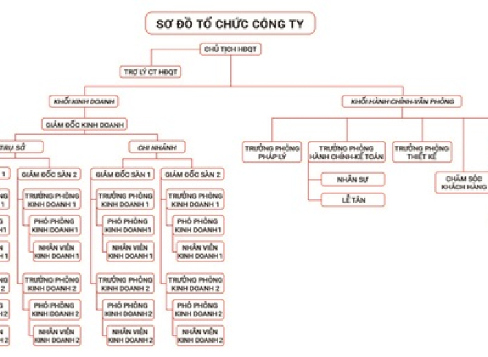  Sơ đồ tổ chức