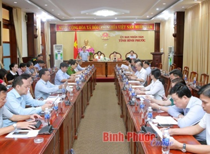 Đề xuất quy mô đầu tư tuyến ĐT 753 kết nối tỉnh Đồng Nai qua cầu Mã Đà