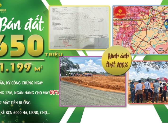 TÂN LỢI XII